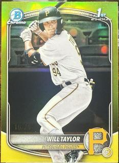 Will Taylor