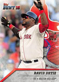 David Ortiz