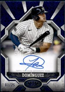 Jasson Dominguez