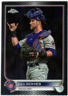 Yan Gomes