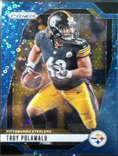 Troy Polamalu