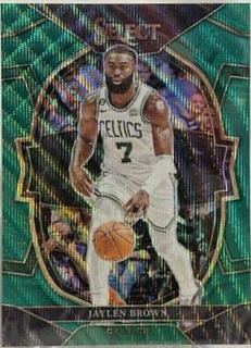 Jaylen Brown
