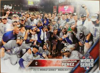 Salvador Perez