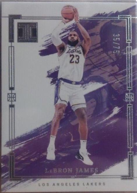 LeBron James [Silver] #28