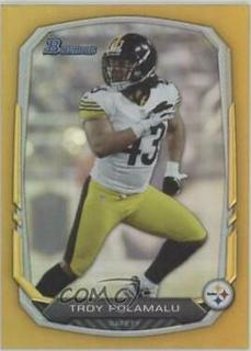 Troy Polamalu