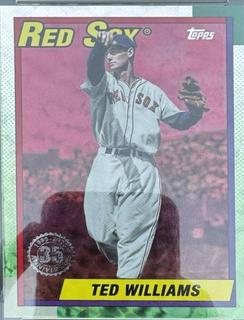 Ted Williams
