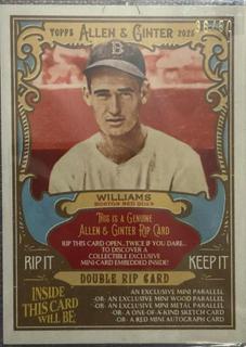 Williams / Yastrzemski