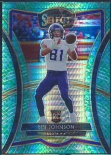 Bisi Johnson