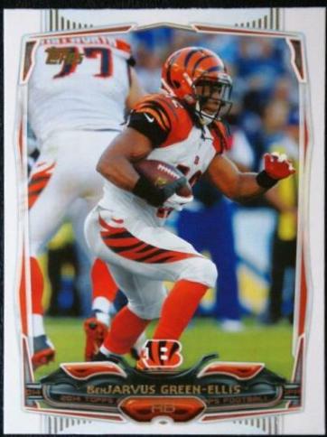 BenJarvus Green Ellis #252