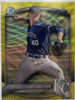 Blake Wolters