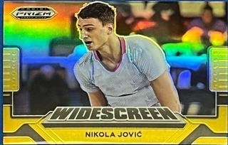 Nikola Jovic