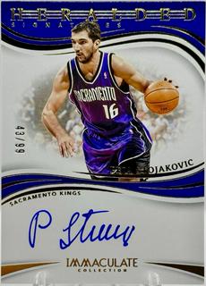 Peja Stojakovic