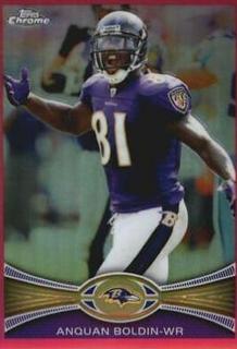 Anquan Boldin