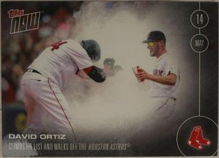 David Ortiz