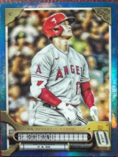 Shohei Ohtani