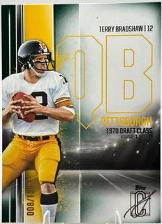 Terry Bradshaw