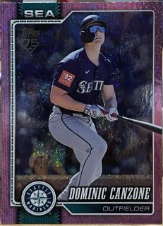 Dominic Canzone