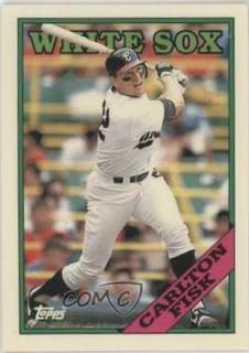 Carlton Fisk