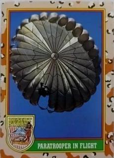 Paratrooper In Flight