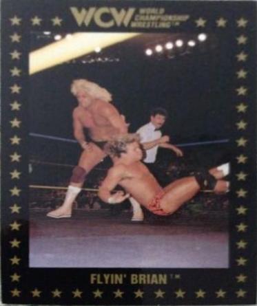 Flyin' Brian #38 Wrestling Cards 1991 Championship Marketing WCW