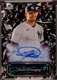 Jasson Dominguez