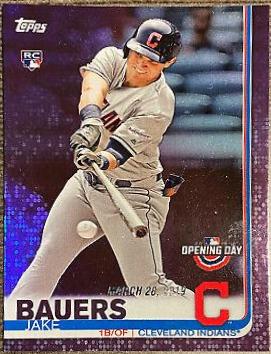 Jake Bauers #177 Baseball Cards 2019 Topps Opening Day