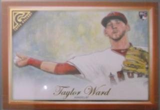 Taylor Ward