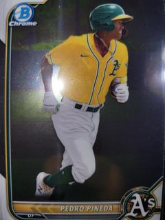 Pedro Pineda