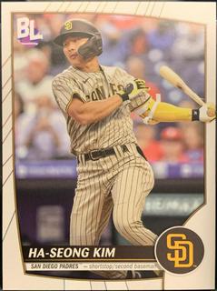 Ha Seong Kim