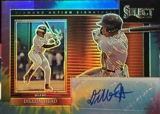Dillon Head