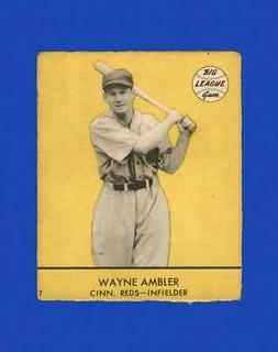 Wayne Ambler