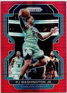 PJ Washington Jr.