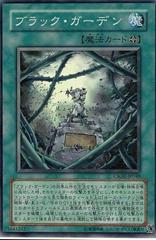 Black Garden #CSOC-JP048