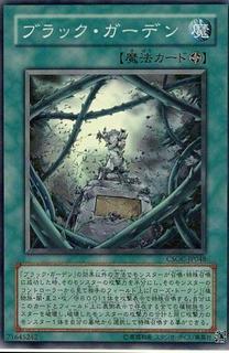Black Garden CSOC-JP048