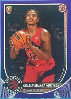 Collin Murray-Boyles