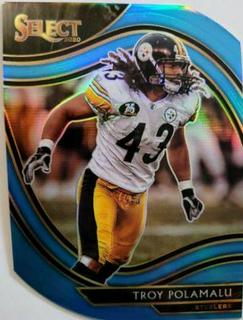 Troy Polamalu