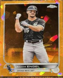 Adam Engel