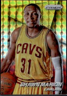 Shawn Marion