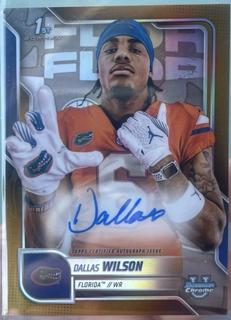 Dallas Wilson