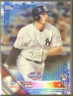Greg Bird