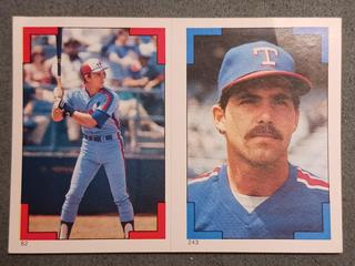 Tim Wallach, Don Slaught #82, 243