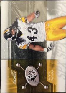 Troy Polamalu