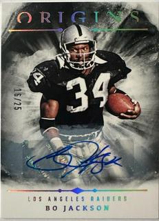 Bo Jackson