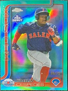 Yoeilin Cespedes