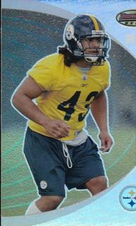 Troy Polamalu