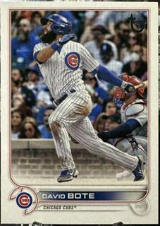 David Bote