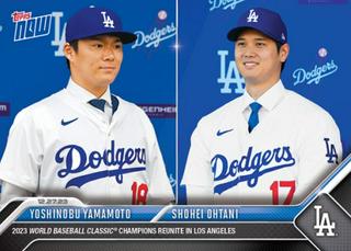 Yamamoto / Ohtani