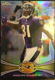 Anquan Boldin