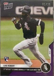 Luis Robert