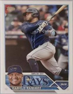 Tampa Bay Rays